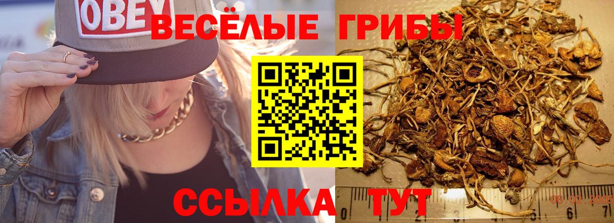Псилоцибиновые грибы ЛСД Великие Луки