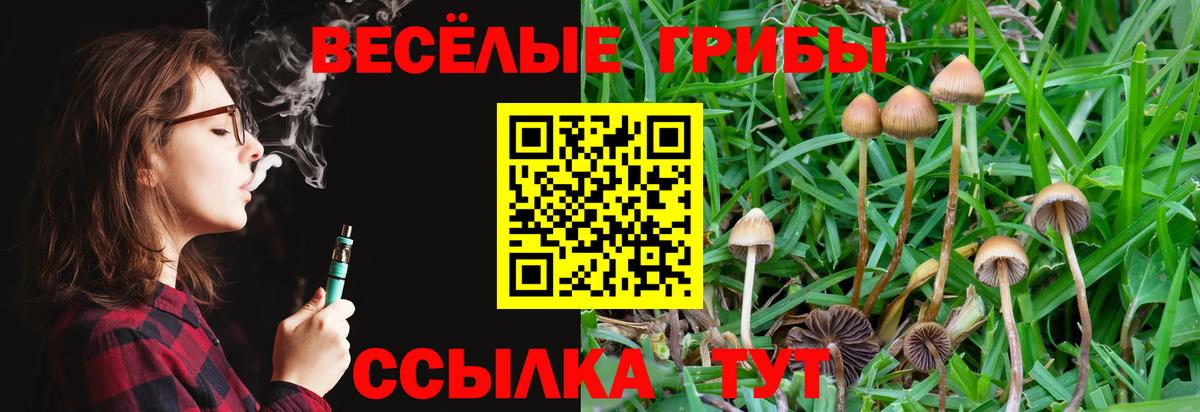 Великие Луки  Галлюциногенные грибы Cubensis  Вход с VPN  Псилоцибиновые грибы ЛСД 